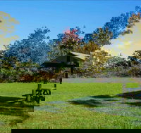 Tunks Hill picnic area - Accommodation in Bendigo