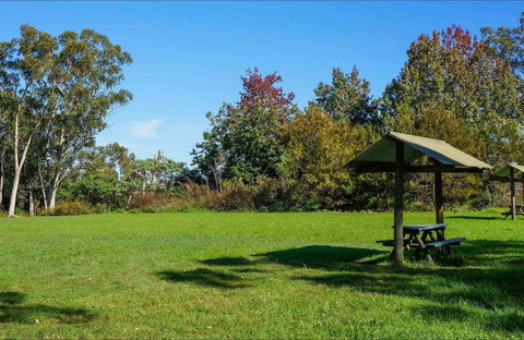 Tunks Hill Picnic Area - Accommodation in Bendigo 0