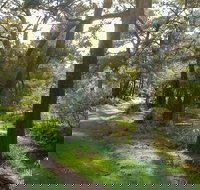 Turon National Park - Accommodation in Bendigo