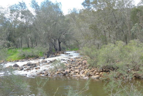 Walyunga National Park - Accommodation in Bendigo 1