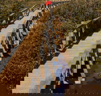 Warringine Park  Bittern Coastal Wetlands Boardwalk - Accommodation in Bendigo