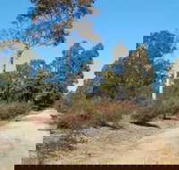 Werakata National Park - Accommodation in Bendigo