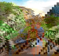 Woody Island Nature Reserve - Accommodation in Bendigo