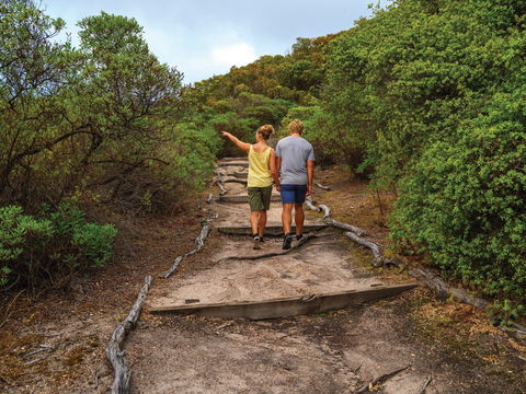 Woody Island Nature Reserve - Accommodation in Bendigo 2
