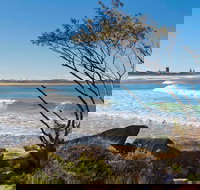 Wooli to Red Rock Walk - Accommodation in Bendigo