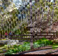 Armadale - Accommodation in Bendigo