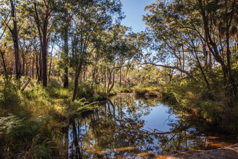 Blackdown Tableland National Park - Accommodation in Bendigo 2
