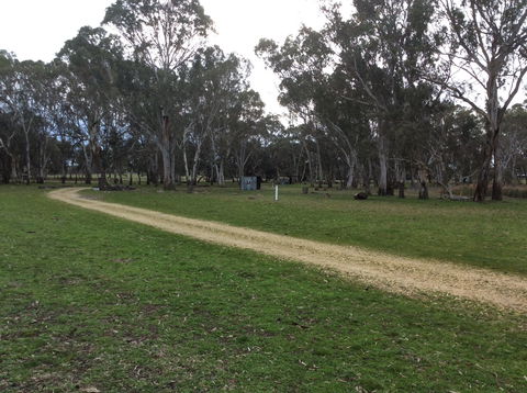 Black Cockatoo Bush Camp - Accommodation in Bendigo 2