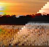 Bool Lagoon Game Reserve and Hacks Lagoon Conservation Park - Accommodation in Bendigo