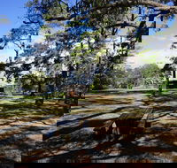 Bowen Mountain Park - Accommodation in Bendigo