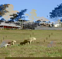 Calmsley Hill City Farm - Accommodation in Bendigo