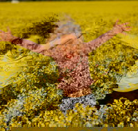 Canola Trail - Accommodation in Bendigo