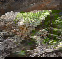 Cave Creek Walking Track - Accommodation in Bendigo