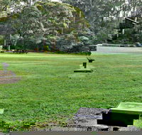 Cottonwood Glen Picnic Area - Accommodation in Bendigo