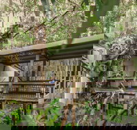 Daisy Hill Koala Centre