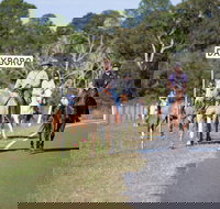 Dayboro - Accommodation in Bendigo