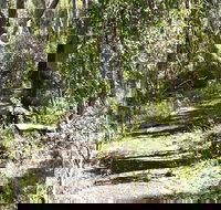 Euglah Rock Walking Track - Accommodation in Bendigo