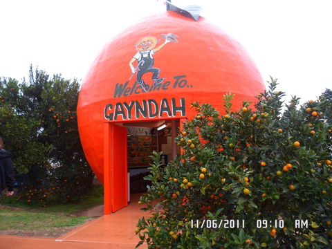 Gayndah's Big Orange - Accommodation in Bendigo 2