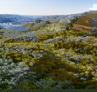 Gold Coast Hinterland Great Walk - Accommodation in Bendigo