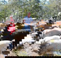 Haigslea EWE Nique Hobby Farm - Accommodation in Bendigo