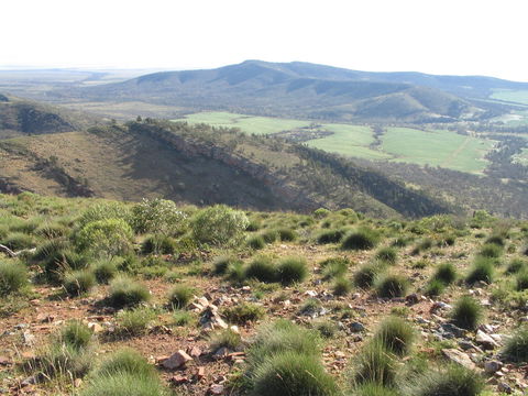 Horseshoe Rim 4WD Adventure Track - Accommodation in Bendigo 0