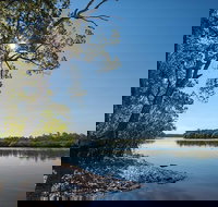 Karuah River National Park and Nature Reserve - Accommodation in Bendigo