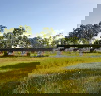 Katherine Railway Trestle Bridge - Accommodation in Bendigo