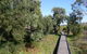 Kepwari Trails Wetland Wonderland - thumb 0