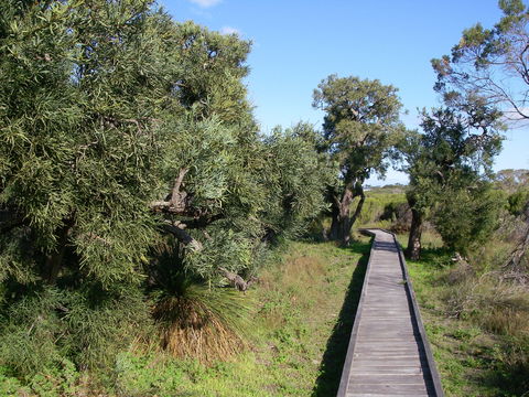Kepwari Trails Wetland Wonderland - Accommodation in Bendigo 0