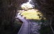 Kepwari Trails Wetland Wonderland - thumb 1
