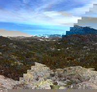 Kosciuszko National Park Charlottes Pass to Snowy River - Accommodation in Bendigo