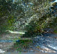 Lillypilly loop trail - Accommodation in Bendigo