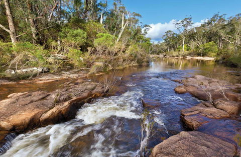 Little Dandahra Creek Walking Track - Accommodation in Bendigo 0
