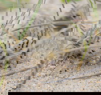 Manning Entrance State Park - Accommodation in Bendigo