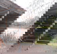 Martin Bend Wetland and Walking Trail - Accommodation in Bendigo