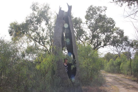 Martin Bend Wetland And Walking Trail - Accommodation in Bendigo 1