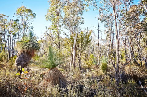 Mt Glenrowan Lookout Walk - Accommodation in Bendigo 2