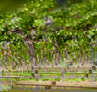 Murrumbateman - Accommodation in Bendigo