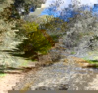 Naracoorte North Nature Park - Accommodation in Bendigo