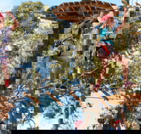 Next Level Monkey Business - Accommodation in Bendigo