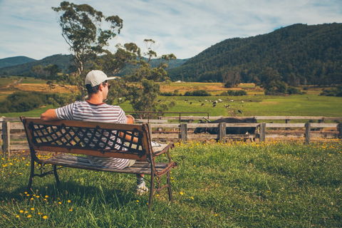 North - North East - Accommodation in Bendigo 0