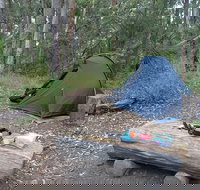 Northbrook Mountain Bush Camp - Accommodation in Bendigo