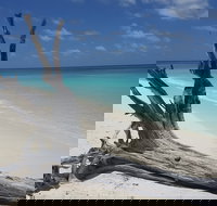 North West Island - Accommodation in Bendigo