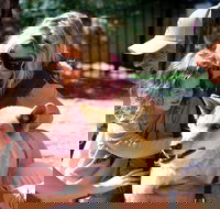 Potoroo Palace Native Animal Sanctuary - Accommodation in Bendigo