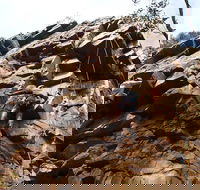 Rock Climbing in Morialta - Accommodation in Bendigo