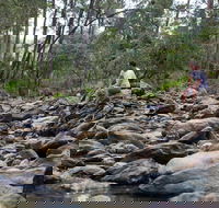 Rocksberg Park Heritage Reserve - Accommodation in Bendigo