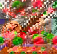 Sciencentre - Accommodation in Bendigo