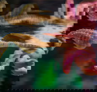 Seahorse World - Accommodation in Bendigo