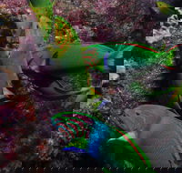 Sunshine Reef - Accommodation in Bendigo