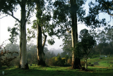 Tasmanian Arboretum Inc. - The - Accommodation in Bendigo 1